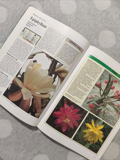 Rastliny v byte a na balkóne, 