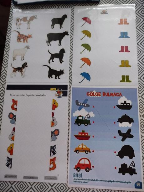 Zalaminovane aktivity, 