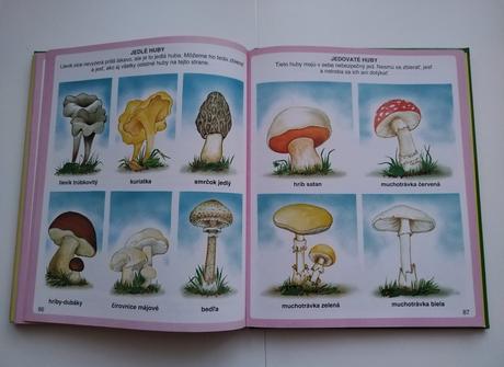 Obrázky z prírody, 