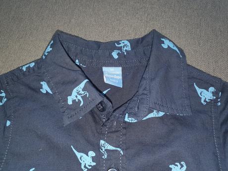 Košielka s dinosaurami, dopodopo,74
