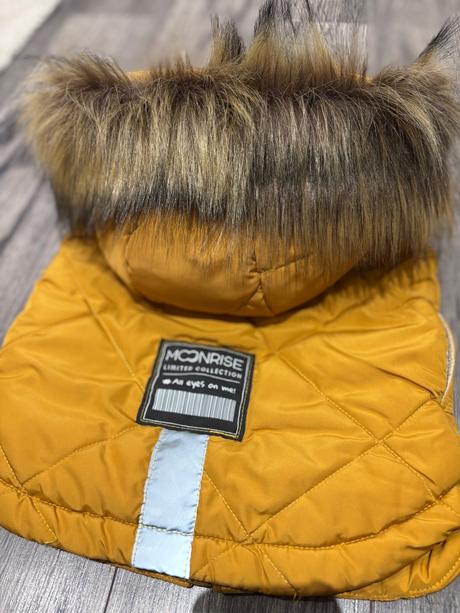 Moonrise vesta 98, 98