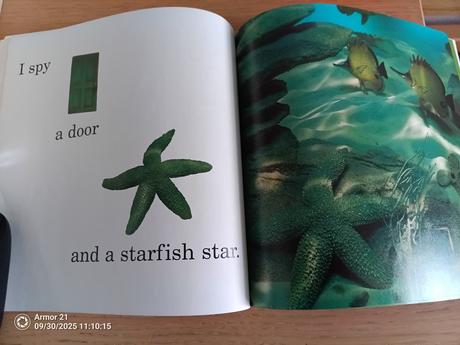 I spy animals paperback  hľadacia knižka, 