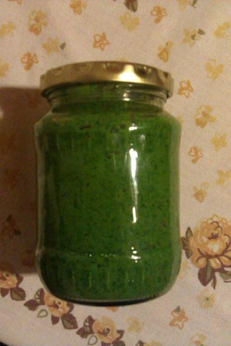 Pesto z medvedieho cesnaku doma vypestovaneho 2025,