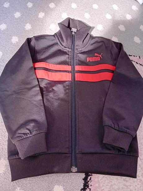 Mikina, puma,116