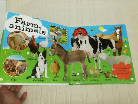 First 100 animals leporelo nau19,