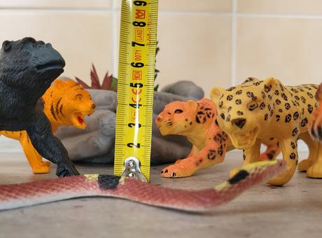 Safari s king kongom - väčšie veľkosti, 