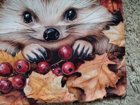 Obliečka na vankúš 45x45cm, šírka (cm): 45,dĺžka (cm): 40