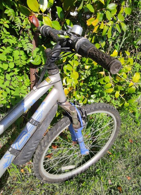 Dievcensky  17" apollo bicykel, 26
