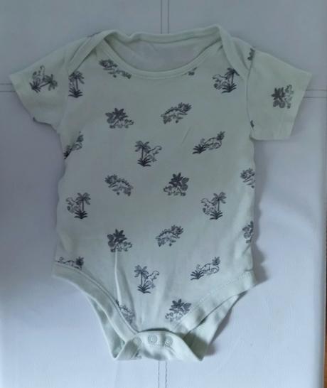 Body dinosaury, tu,74