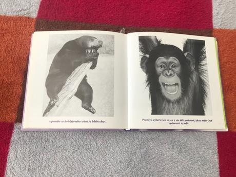 Knizka o zvieratkach, rozmer 16x16 cm,