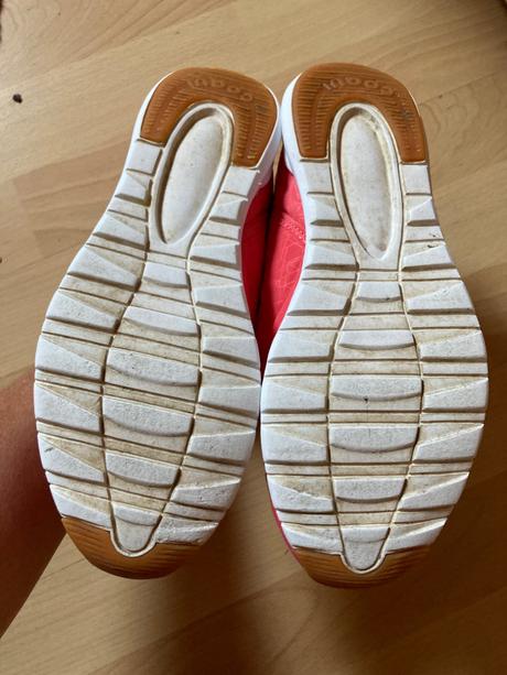 Tesnosky coqui, coqui,36