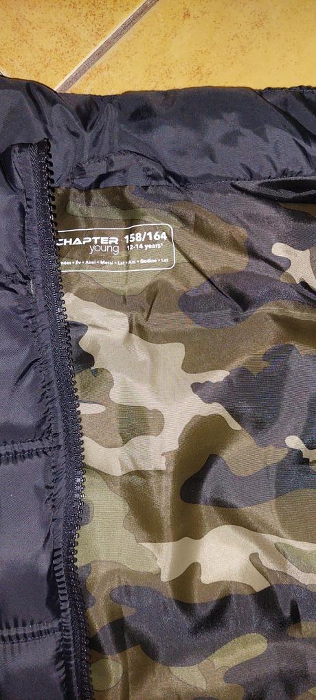 Vesta chapter young, chapter young,158