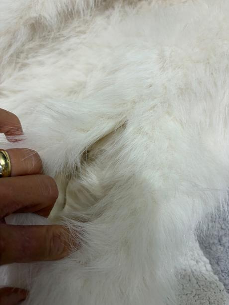 Biely kožuch s/m, m / s