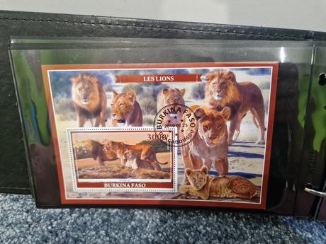 Zberateľský album s arsiky,