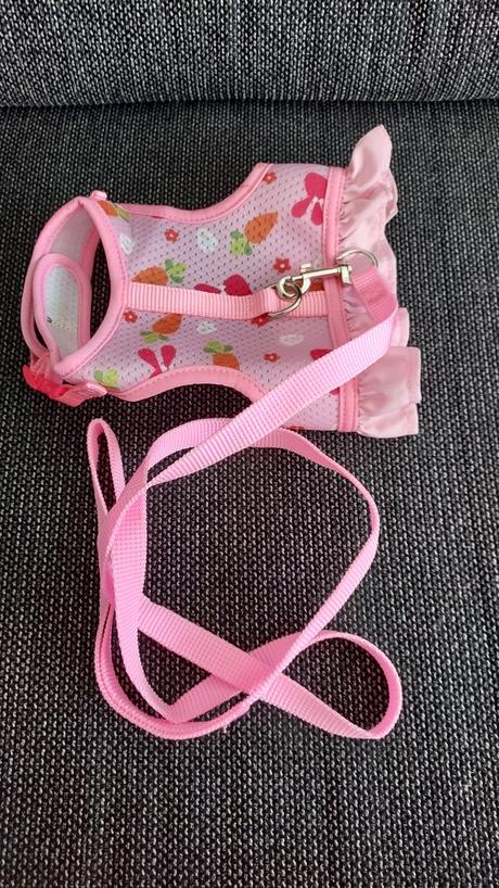 Oblečenie pre zajka, 