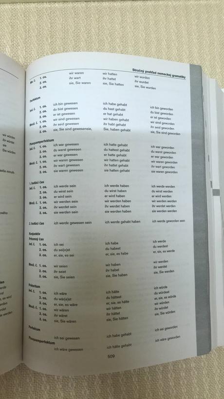 Veľký nem-slov a slov-nem slovník, 