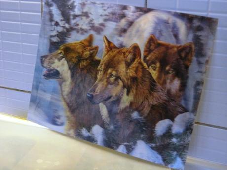 Pohyblivé obrazy 3d, 