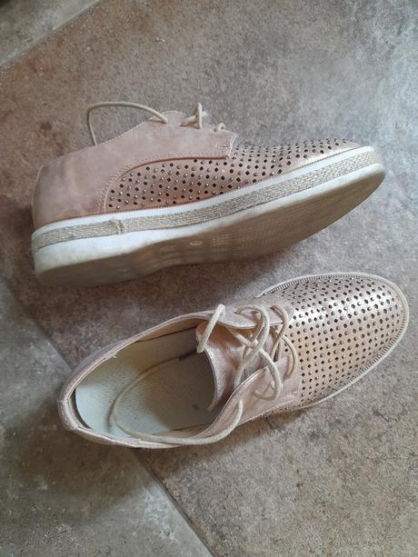 Poltopanky strieborne, 37