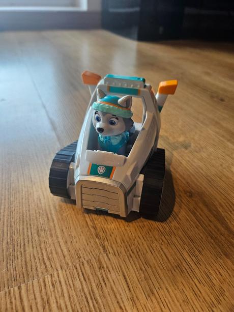 Labkova patrola - everest, 