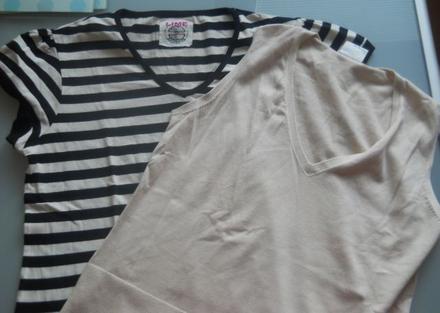 Vesta s tričkom, next,44