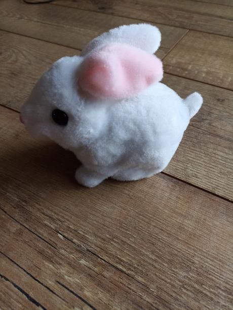 Zajačik - top stav,