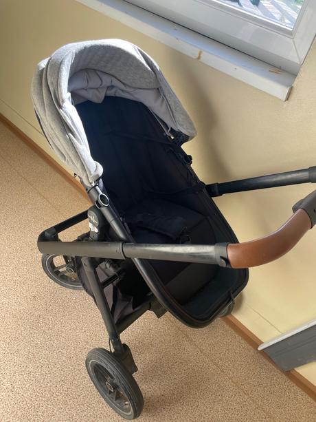 Kočiar neonatl, neonato,neonato puro