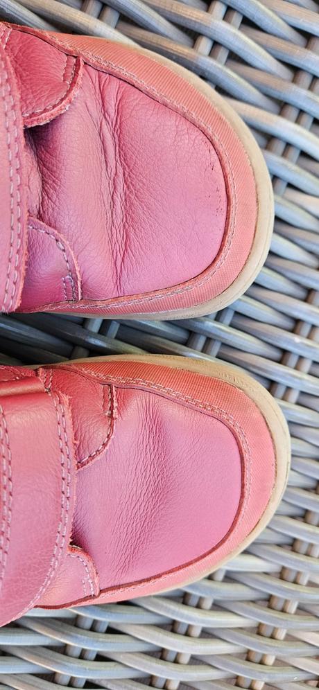 Protetika fila v. 29, protetika,29