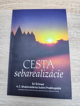 Cesta sebarealizácie, 