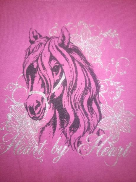 Prakticka predlznena mikina s konikom, dopodopo,98