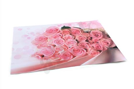 Nálepka na notebook ruže,