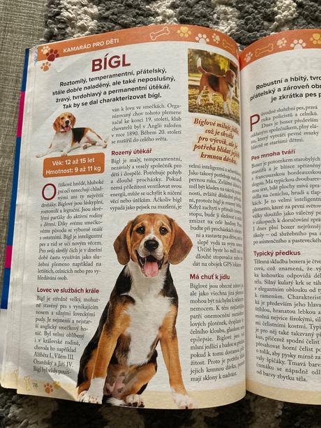 425 skvělých tipů, jak si vybrat nejlepšího pejska, 