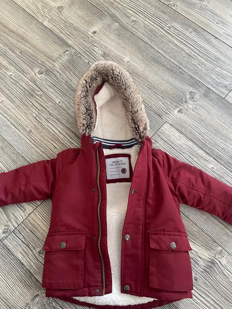 Bundicka, st. bernard,80