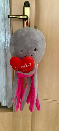 Plyšová chobotnica,