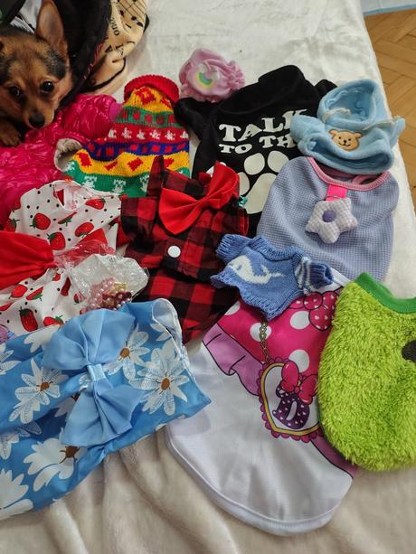 Predám vecičky pre malého psíka xs,s,m, 