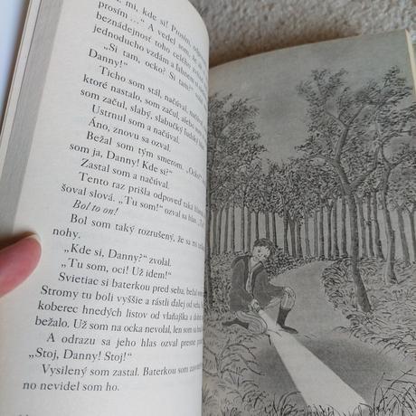 Danny majster sveta roald dahl,