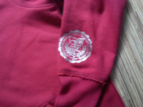 Mikina s kapucou a zlatymi aplikaciami, american eagle,s