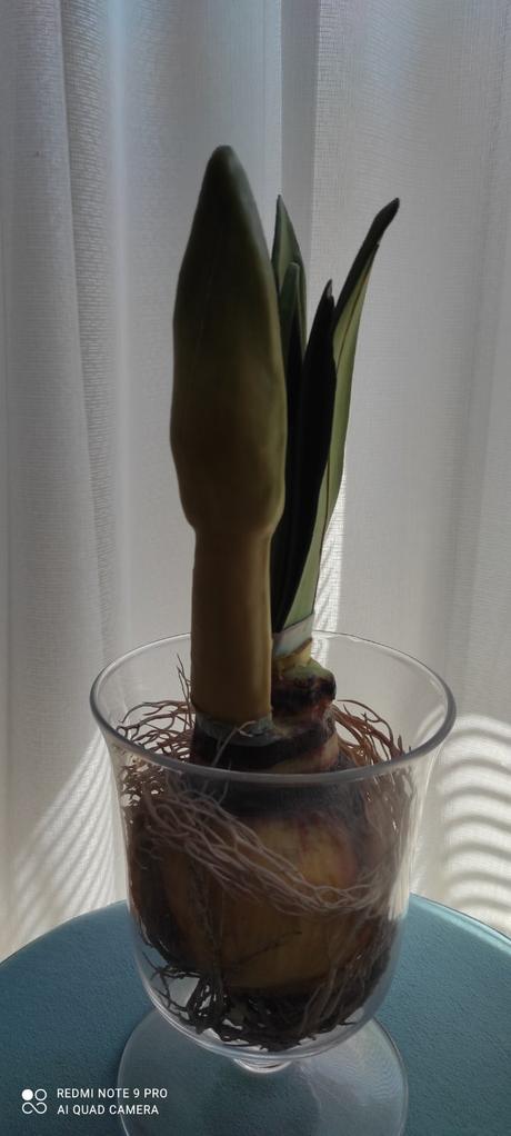 Umelá cibulka- ako živá,