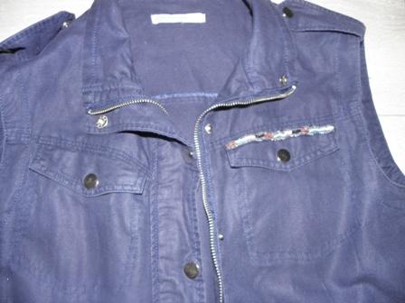 Vesta stradivarius, stradivarius,s