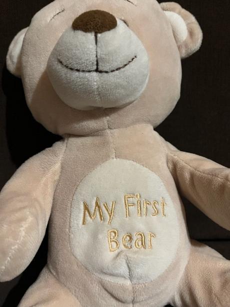 Plyšák my first bear,