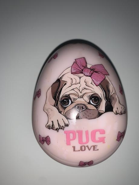 Dievčenská kefa na vlasy lucy pug,