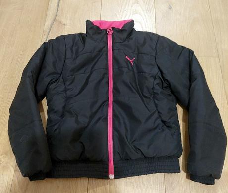 Bunda krátka, puma,128