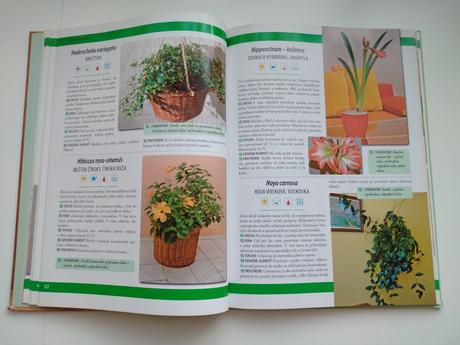 Pestujeme izbové rastliny, 