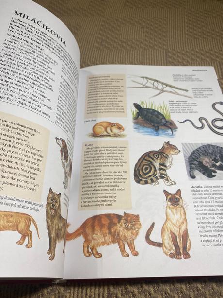 Školská encyklopédia svet poznania v jedinom zväzk,