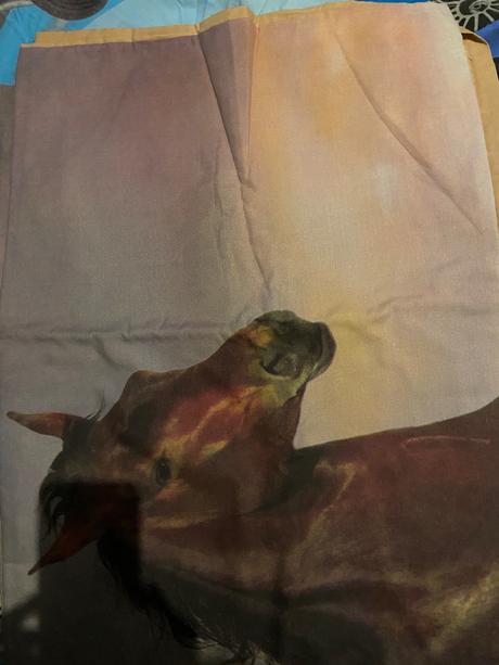 Posteľné obliečky  detské motívy, šírka (cm): 140,dĺžka (cm): 180