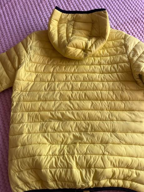 Žltá jarná vetrovka, reserved,164