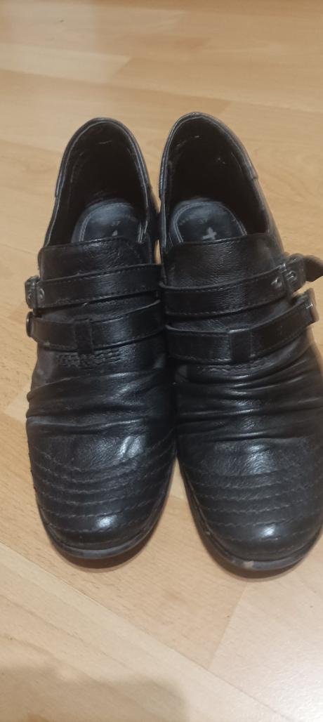 Celokožené tamaris, tamaris,37