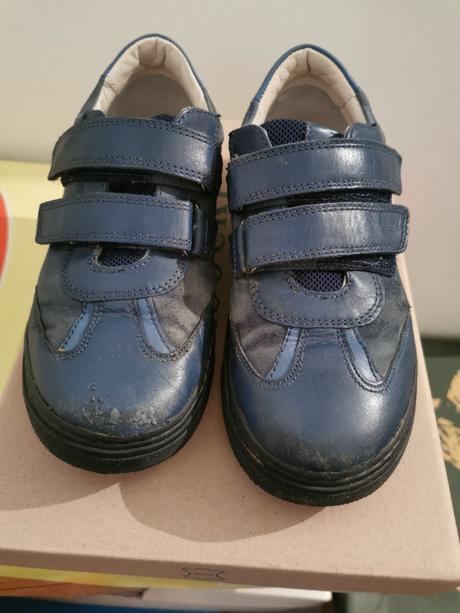 Poltopánky, lasocki,33