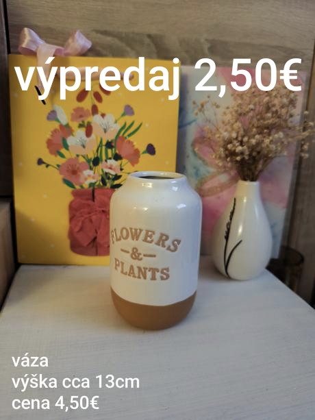 Váza,