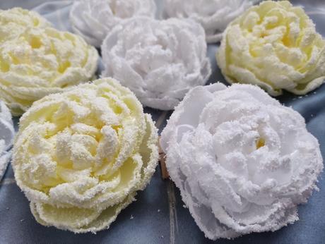 Zimná pivonka - kvet s kúzlom snehu a mrazu, 