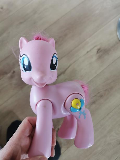 Konik my little ponny, 